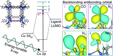 Graphical abstract: Backbonding contributions to small molecule chemisorption in a metal–organic framework with open copper(i) centers
