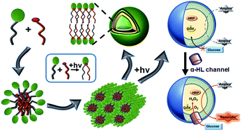Graphical abstract: In situ formation of a biomimetic lipid membrane triggered by an aggregation-enhanced photoligation chemistry