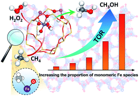 Graphical abstract: Identifying key mononuclear Fe species for low-temperature methane oxidation