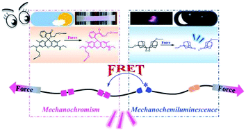 Graphical abstract: Empowering self-reporting polymer blends with orthogonal optical properties responsive in a broader force range