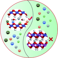 Graphical abstract: Phase engineering of cobalt hydroxide toward cation intercalation