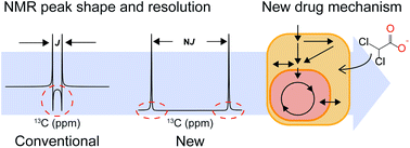 Graphical abstract: Metabolic mechanisms of a drug revealed by distortion-free 13C tracer analysis