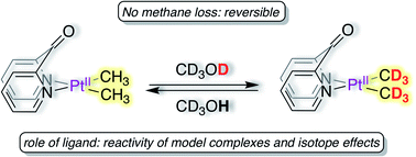 Graphical abstract: Reversible PtII–CH3 deuteration without methane loss: metal–ligand cooperation vs. ligand-assisted PtII-protonation