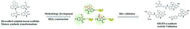 Graphical abstract: Diversified strategy for the synthesis of DNA-encoded oxindole libraries
