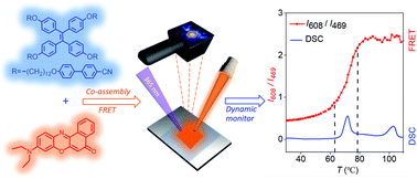 Graphical abstract: Cooperatively assembled liquid crystals enable temperature-controlled Förster resonance energy transfer