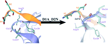 Graphical abstract: Molecular mechanism of secreted amyloid-β precursor protein in binding and modulating GABABR1a