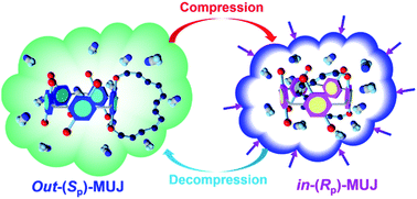 Graphical abstract: Pressure-driven, solvation-directed planar chirality switching of cyclophano-pillar[5]arenes (molecular universal joints)