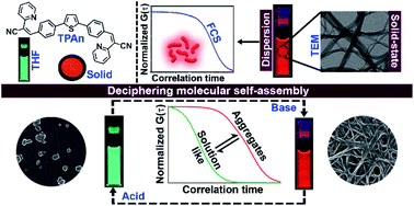 Graphical abstract: Deciphering the evolution of supramolecular nanofibers in solution and solid-state: a combined microscopic and spectroscopic approach