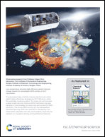Graphical abstract: Inside back cover
