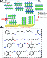 Graphical abstract: Role of the spacer cation in the growth and crystal orientation of two-dimensional perovskites