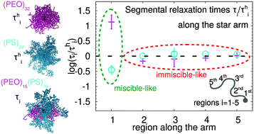 Graphical abstract: Spatio-temporal heterogeneities in nanosegregated single-molecule polymeric nanoparticles