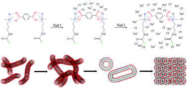 Graphical abstract: Effects of sodium chloride on rheological behaviour of the gemini-like surfactants