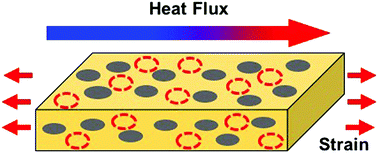Graphical abstract: Investigation of thermal conductivity for liquid metal composites using the micromechanics-based mean-field homogenization theory