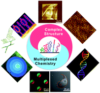 Graphical abstract: Recent progress in creating complex and multiplexed surface-grafted macromolecular architectures