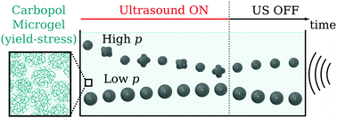 Graphical abstract: Acoustic bubble dynamics in a yield-stress fluid