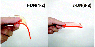 Graphical abstract: Effect of the constituent networks of double-network gels on their mechanical properties and energy dissipation process
