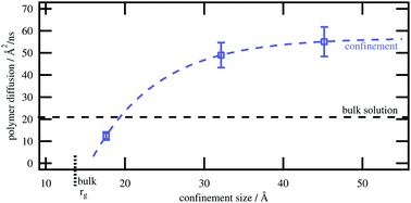 Graphical abstract: Disentangling of complex polymer dynamics under soft nanoscopic confinement