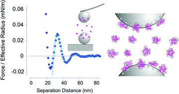 Graphical abstract: Oscillatory structural forces between charged interfaces in solutions of oppositely charged polyelectrolytes