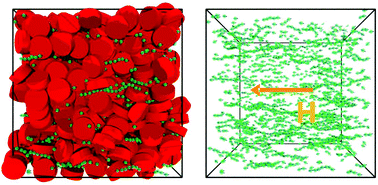 Graphical abstract: Field-induced anti-nematic and biaxial ordering in binary mixtures of discotic mesogens and spherical magnetic nanoparticles