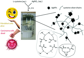 Graphical abstract: l-Cysteine/AgNO2 low molecular weight gelators: self-assembly and suppression of MCF-7 breast cancer cells