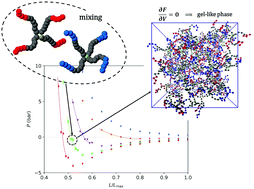 Graphical abstract: Can oppositely charged polyelectrolyte stars form a gel? A simulational study
