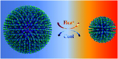 Graphical abstract: Short intrinsically disordered polypeptide–oligonucleotide conjugates for programmed self-assembly of nanospheres with temperature-dependent size controllability