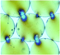 Graphical abstract: Force chains in crystalline and frustrated packing visualized by stress-birefringent spheres