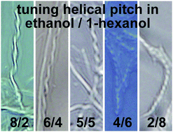 Graphical abstract: Supramolecular fibrous gels with helical pitch tunable by polarity of alcohol solvents