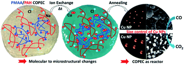 Graphical abstract: Saloplastics as multiresponsive ion exchange reservoirs and catalyst supports