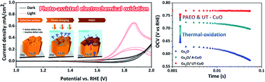 Graphical abstract: Atomically tunable photo-assisted electrochemical oxidation process design for the decoration of ultimate-thin CuO on Cu2O photocathodes and their enhanced photoelectrochemical performances