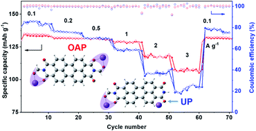 Graphical abstract: Non-conjugated diketone as a linkage for enhancing the rate performance of poly(perylenediimides)