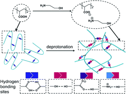 Graphical abstract: A water-soluble, adhesive and 3D cross-linked polyelectrolyte binder for high-performance lithium–sulfur batteries