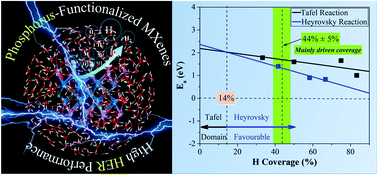 Graphical abstract: Design of phosphorus-functionalized MXenes for highly efficient hydrogen evolution reaction