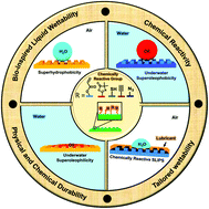 Graphical abstract: Porous and reactive polymeric interfaces: an emerging avenue for achieving durable and functional bio-inspired wettability