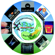 Graphical abstract: Transparent, ultraflexible, and superinsulating nanofibrous biocomposite aerogels via ambient pressure drying