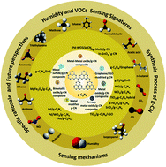 Graphical abstract: Insights into g-C3N4 as a chemi-resistive gas sensor for VOCs and humidity – a review of the state of the art and recent advancements
