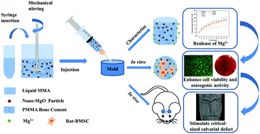 Graphical abstract: Preparation and evaluation of osteogenic nano-MgO/PMMA bone cement for bone healing in a rat critical size calvarial defect