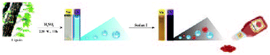 Graphical abstract: Preparation of sulfur-doped carbon quantum dots from lignin as a sensor to detect Sudan I in an acidic environment