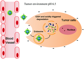 Graphical abstract: A phosphorylcholine-based zwitterionic copolymer coated ZIF-8 nanodrug with a long circulation time and charged conversion for enhanced chemotherapy