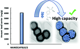 Graphical abstract: High load drug release systems based on carbon porous nanocapsule carriers. Ibuprofen case study