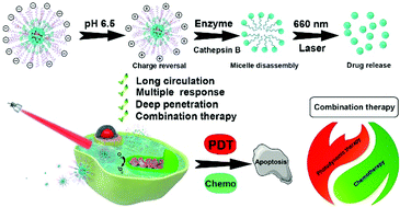 Graphical abstract: Multi-stimuli responsive polymeric prodrug micelles for combined chemotherapy and photodynamic therapy