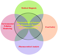 Graphical abstract: Recent advances in ZnO nanostructure-based electrochemical sensors and biosensors