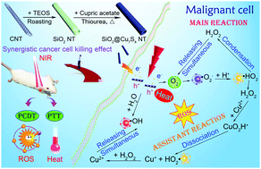 Graphical abstract: SiO2@Cu7S4 nanotubes for photo/chemodynamic and photo-thermal dual-mode synergistic therapy under 808 nm laser irradiation