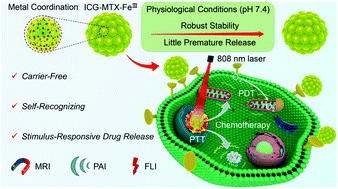 Graphical abstract: Self-recognizing and stimulus-responsive carrier-free metal-coordinated nanotheranostics for magnetic resonance/photoacoustic/fluorescence imaging-guided synergistic photo-chemotherapy