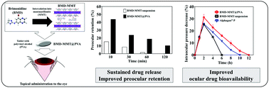 Graphical abstract: Brimonidine–montmorillonite hybrid formulation for topical drug delivery to the eye