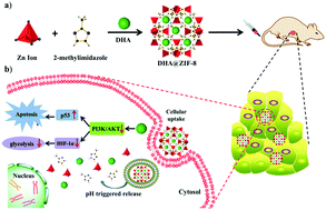 Graphical abstract: MOF nanoparticles with encapsulated dihydroartemisinin as a controlled drug delivery system for enhanced cancer therapy and mechanism analysis