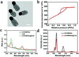 Graphical abstract: A Janus upconverting nanoplatform with biodegradability for glutathione depletion, near-infrared light induced photodynamic therapy and accelerated excretion