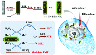 Graphical abstract: Retracted Article: A tumor-microenvironment fully responsive nano-platform for MRI-guided photodynamic and photothermal synergistic therapy