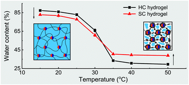 Graphical abstract: Stereocomplexed and homocrystalline thermo-responsive physical hydrogels with a tunable network structure and thermo-responsiveness