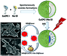 Graphical abstract: Optimization and utilization of single chain metallocatanionic vesicles for antibacterial photodynamic therapy (aPDT) against E. coli